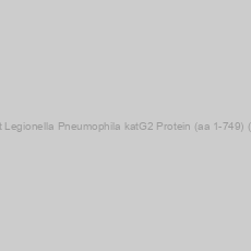 Image of Recombinant Legionella Pneumophila katG2 Protein (aa 1-749) (strain Corby)
